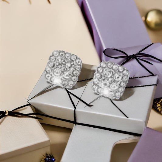 The Elegant silver Earings